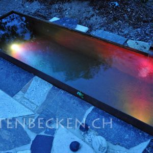 Gartenbecken Bei Nacht 021